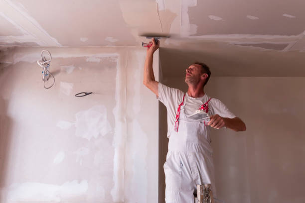 Dry wall and painting